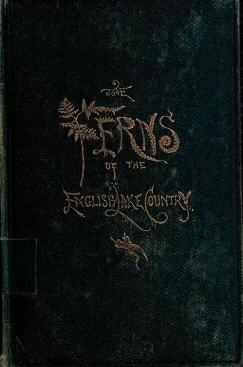 植物复古书籍封面树叶赞评论3更多所有评论你也来说些什么吧