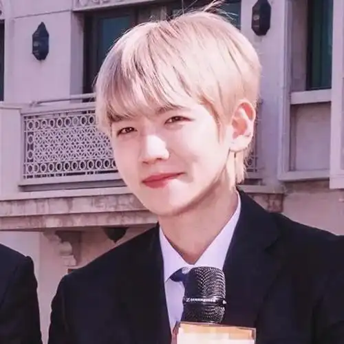 【头像】边伯贤_网易订阅