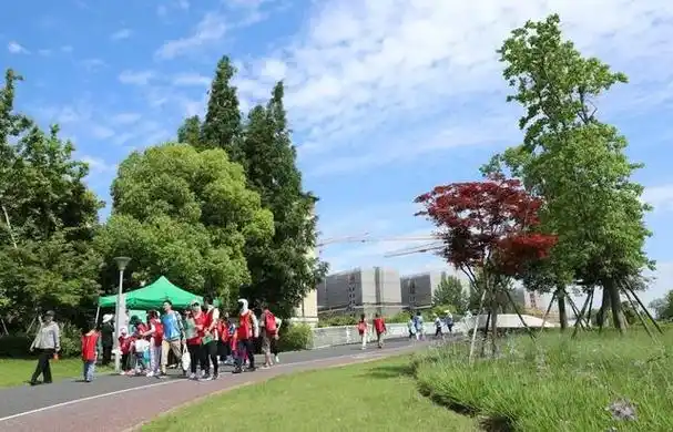 区妇联联合举办的"2024长宁区儿童友好生态亲子定向赛"在虹桥体育公园