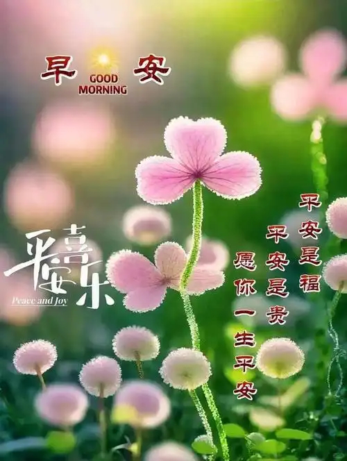 早安美图~金山银山非所求 但求健康度春秋|美食|早上好|春秋(书)|中国