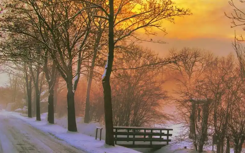 迷醉的大自然年风景电脑桌面壁纸高清大图预览1680x1050_风景壁纸下载
