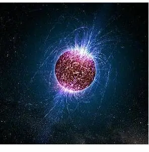 中子星(又名波霎)