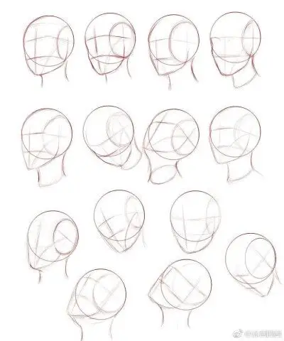 头部不同角度与动态的画法