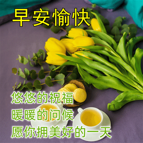 微信早晨好问候语图片表情 漂亮早上好问候语动表情图片