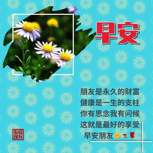 健康是一生的支柱 你有思念我有问候 这就是最好的享受 早安朋友