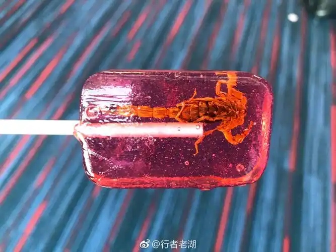 世界上最可怕最奇怪的棒棒糖,没有之一,蝎子棒棒糖,你敢吃吗|棒棒糖|