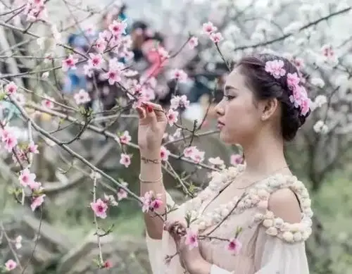 还故作不痛不痒不牵强 都是假象 凉凉十里何时还会春盛 又见树下一盏