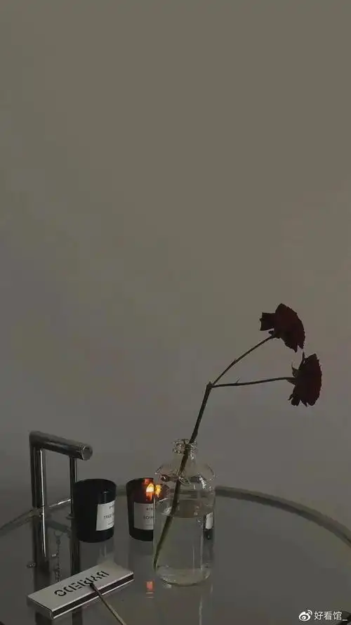 高级感ins风壁纸风月都好看人间也浪漫