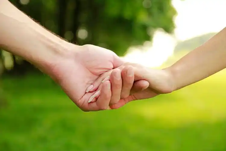 两只,手,相爱,情侣,自然_高清图片_全景视觉