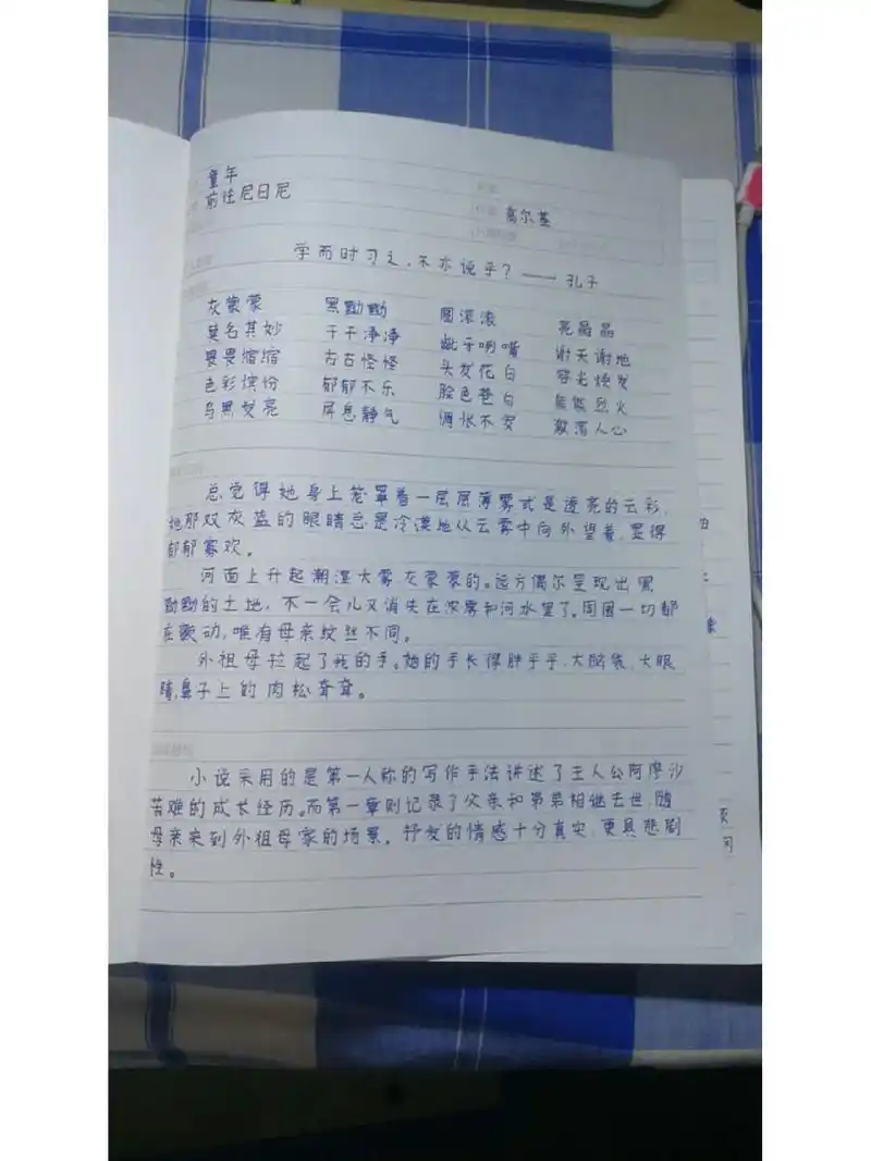 高尔基《童年》读书笔记92摘抄   《童年》读书笔记来了 可抄,抄完