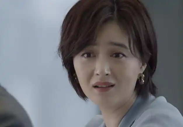 央视黑马剧来了蒋欣领衔这是欢乐颂后我唯一朝思暮想的剧