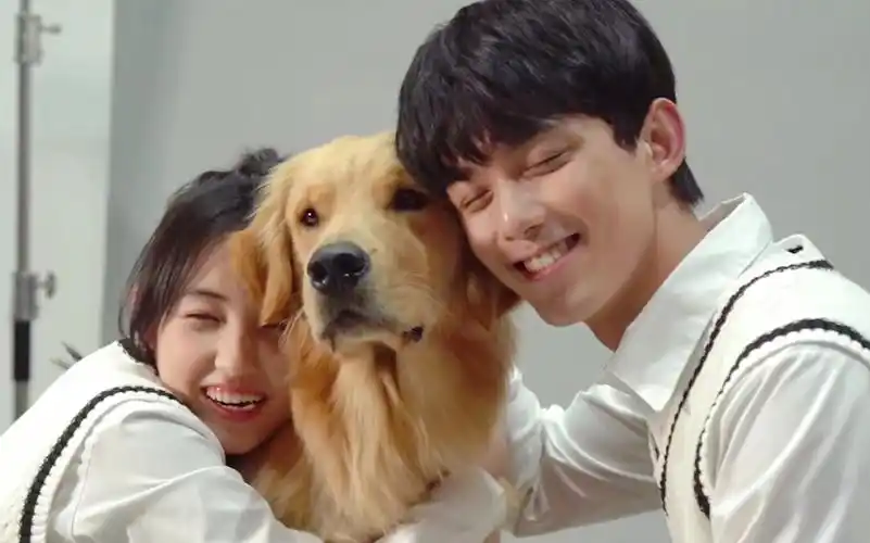 归期(吴磊x张子枫)