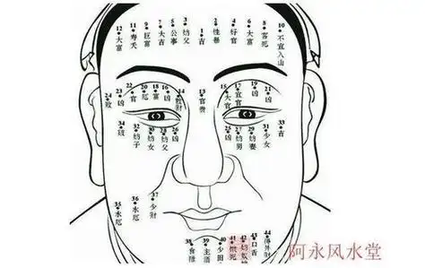 下巴痣相图解大全 下巴痣相图解大全少食是什么意思