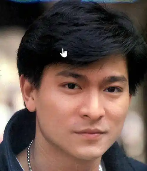 爱你一万年-致敬刘德华