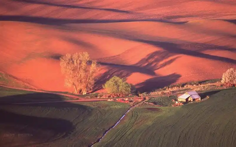 托斯卡纳红黄色地皮唯美电脑壁纸-风景壁纸 - 壁纸家