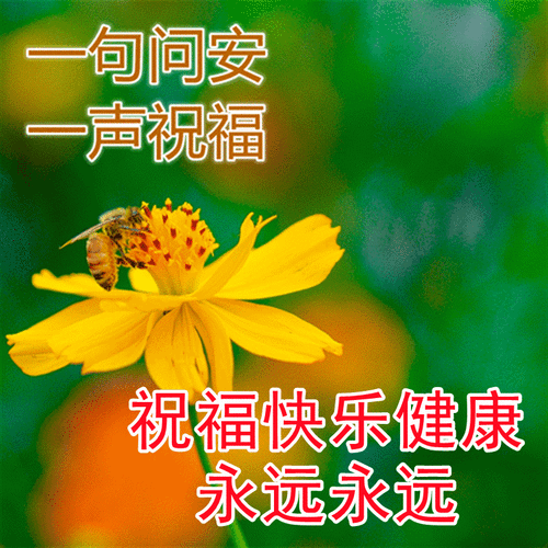 五一假期快乐心情的早安动态表情包 真诚关怀早上好动态祝福图片