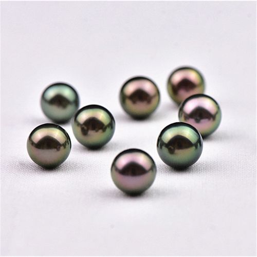 天然大溪地黑珍珠 海水珍珠  现场开蚌取珍珠 支持国检复检