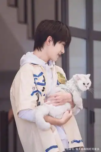 易烊千玺抱猫超温柔,网友:想做他怀里的那只猫!