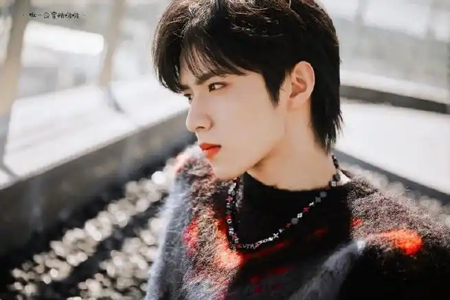 刘耀文初秋毛衣造型九宫格