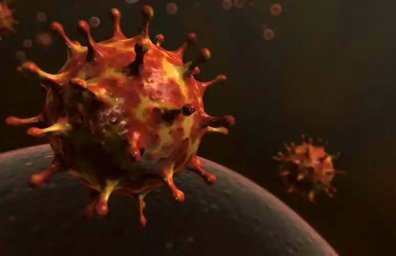 图形,合成,图画,画,红色,生物,电脑合成图,数码合成图,医疗,病毒,疾病