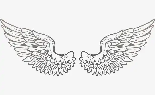 春天里飞来的燕子展开翅膀飞翔着