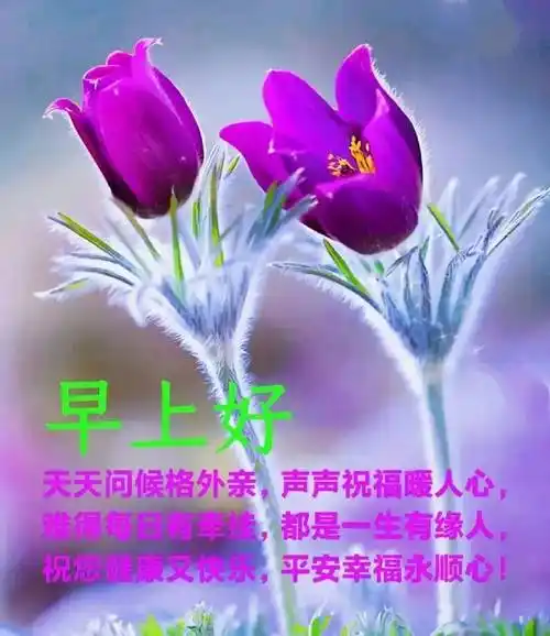 9张最新创意好看的早安早上好图片带祝福语 不用打字聊天的早上好问候