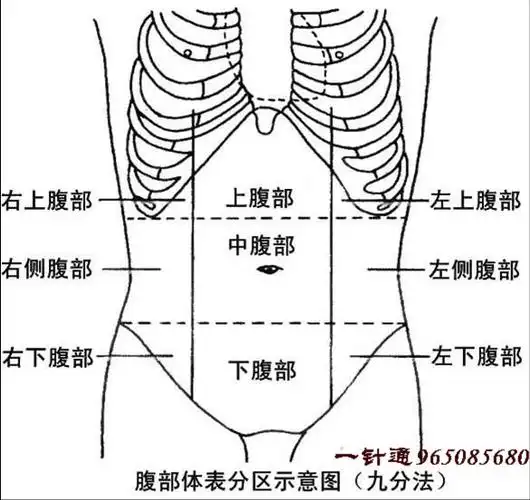 推拿腹部 可除百病 肚脐改变,提示着内脏寒热的变化 管氏脏腑调和法