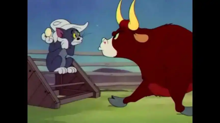 [猫和老鼠]汤姆被牛给.看着就疼