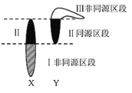 人的x染色体和y染色体的大小,形态不完全相同,存在着同源区段(Ⅱ)和非