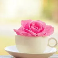 微信花的头像_微信头像图片大全