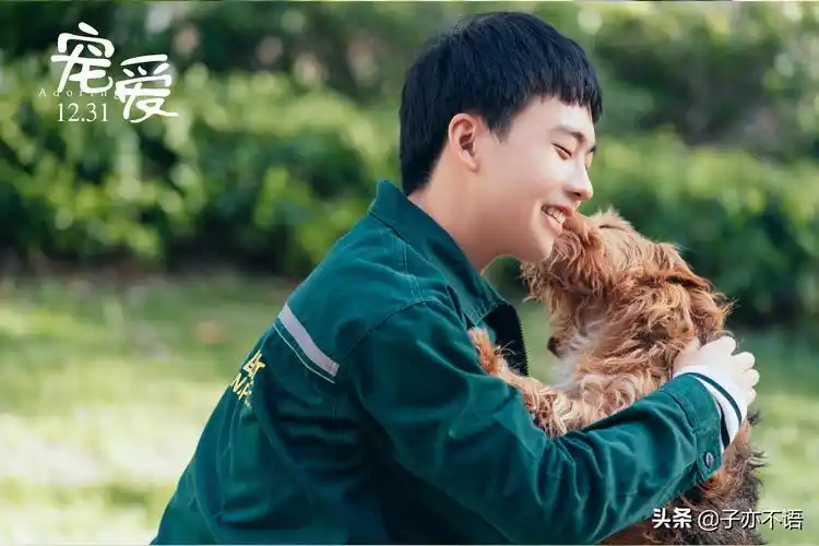 陈伟霆宠爱电影剧情「解析」 _晶羽科技