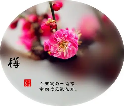 梅蕊腊前破,梅花年后多.