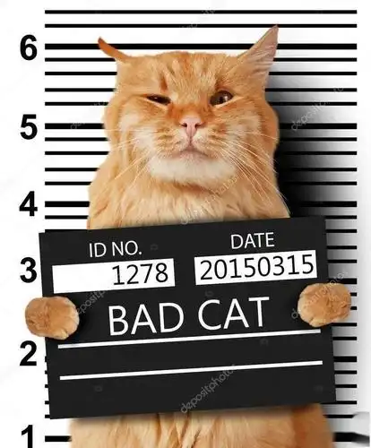 私生活 || 没耳朵的罪犯照