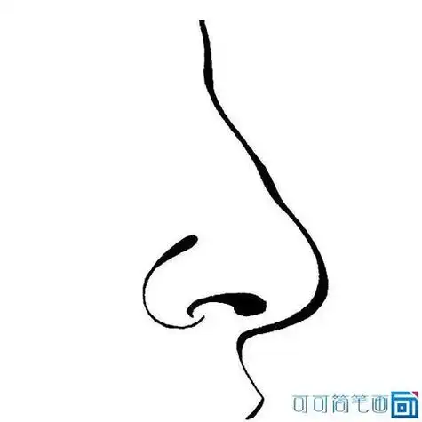 幼儿鼻子 简笔画 第3页