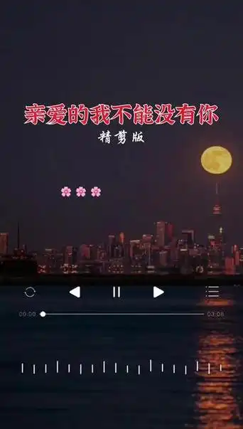 亲爱的我不能没有你#伤感音乐