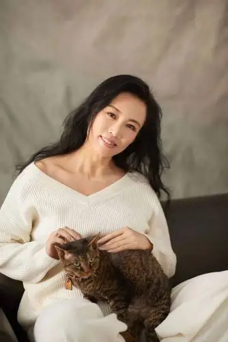 我真是大明星即将开播马丽重启妈妈人生