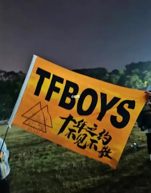 tfboys高校粉丝应援活动到fafu啦