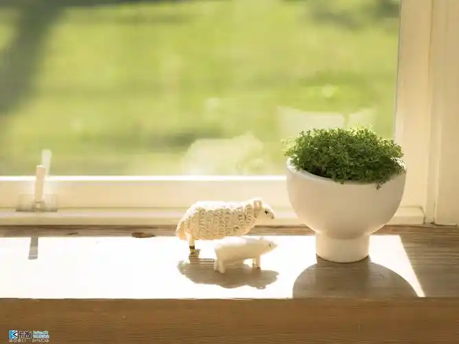 治愈系壁纸温暖油然而生猫猫出品必属精品手机庆典盛大开启