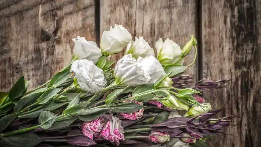 洋桔梗花,花束,木板 1080x1920 iphone 8/7/6/6s plus 壁纸,图片,背景