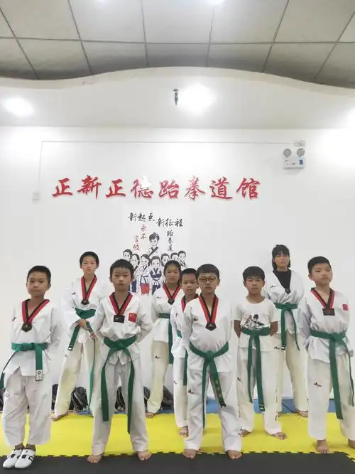 4,绿  带:   绿带是植物的颜色,代表练习者的跆拳道技术开始枝繁叶茂