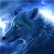 冷酷霸气狼图片头像_动物头像_美头网