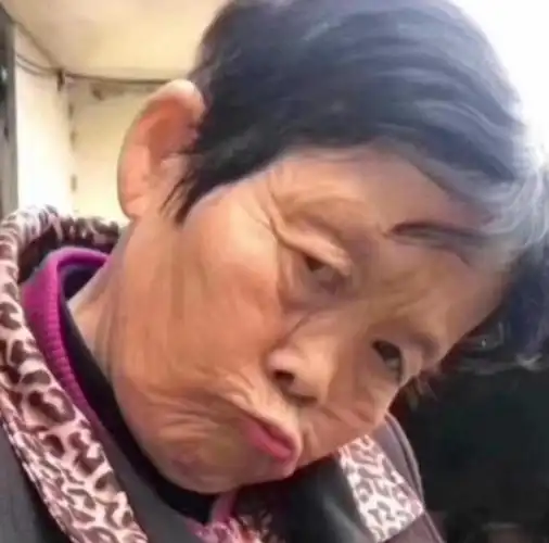 表情包求这两个奶奶的