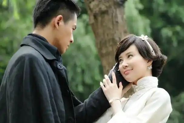 舒畅,陈键锋,乔振宇主演的电视剧《烽火佳人》讲了什么内容?