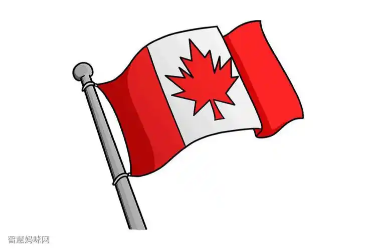 加拿大国旗怎么画