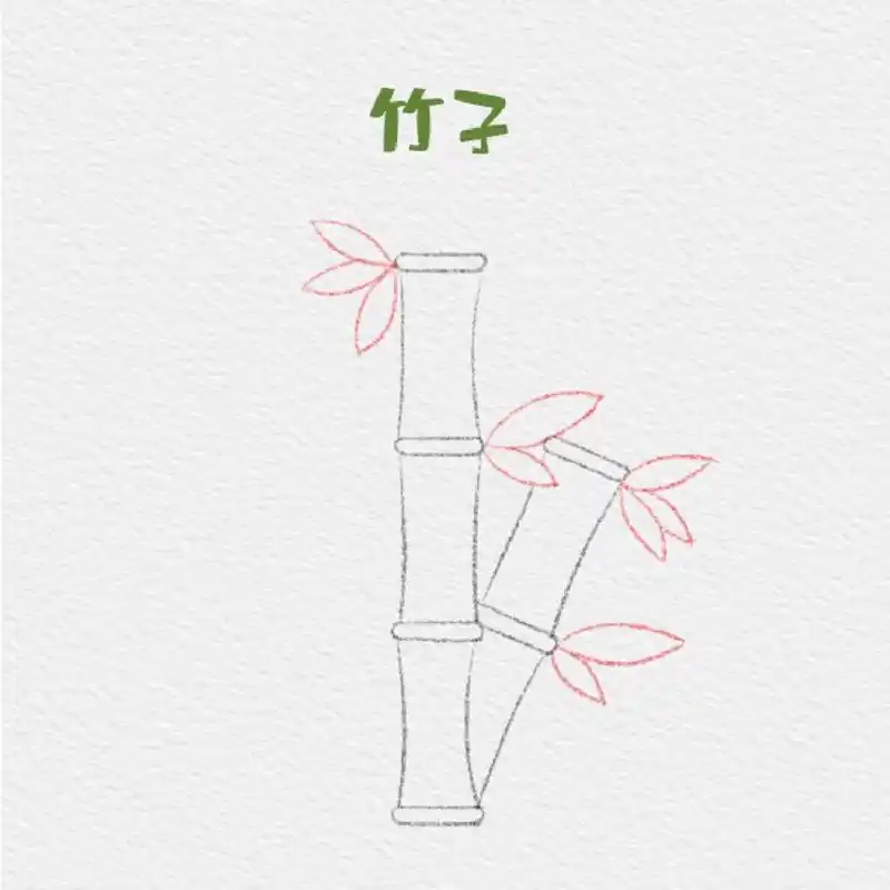 植物类—竹子简笔画