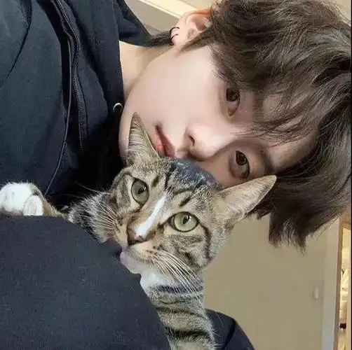 男生头像阳光干净帅气高冷不露脸男头