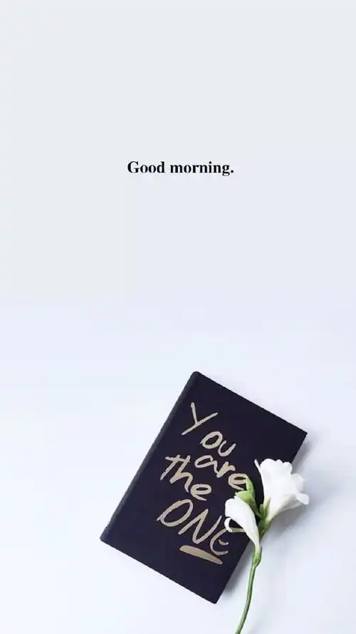 白色壁纸,白色壁纸图片(简约白色系列壁纸)