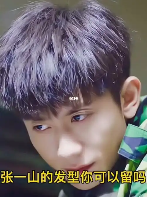 张一山同款碎盖