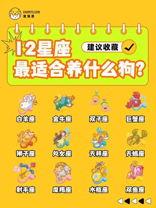 新手养狗十二星座最适合养什么狗