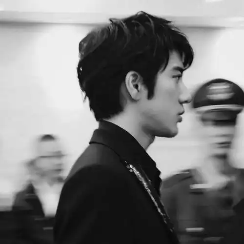 有没有王力宏可以做头像的帅照